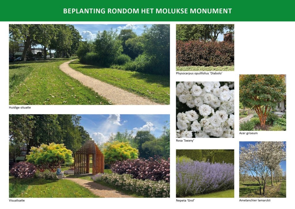 Vergroot afbeelding: de afbeelding toont de huidige situatie en een visualisatie van het Moluks moment en afbeeldingen van de planten die rondom het monument worden geplaatst. 